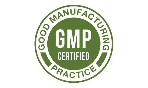 GMP Standards